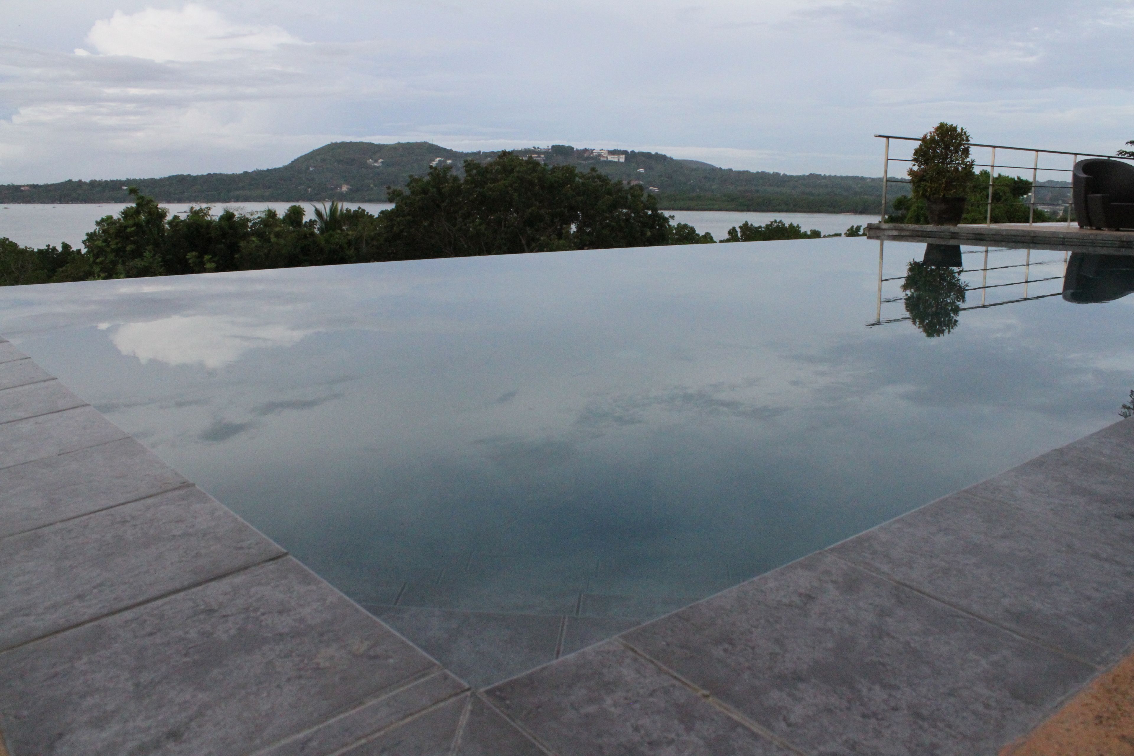 A clear view of a swimming pool with a tiled edge and a potted plant on the right.