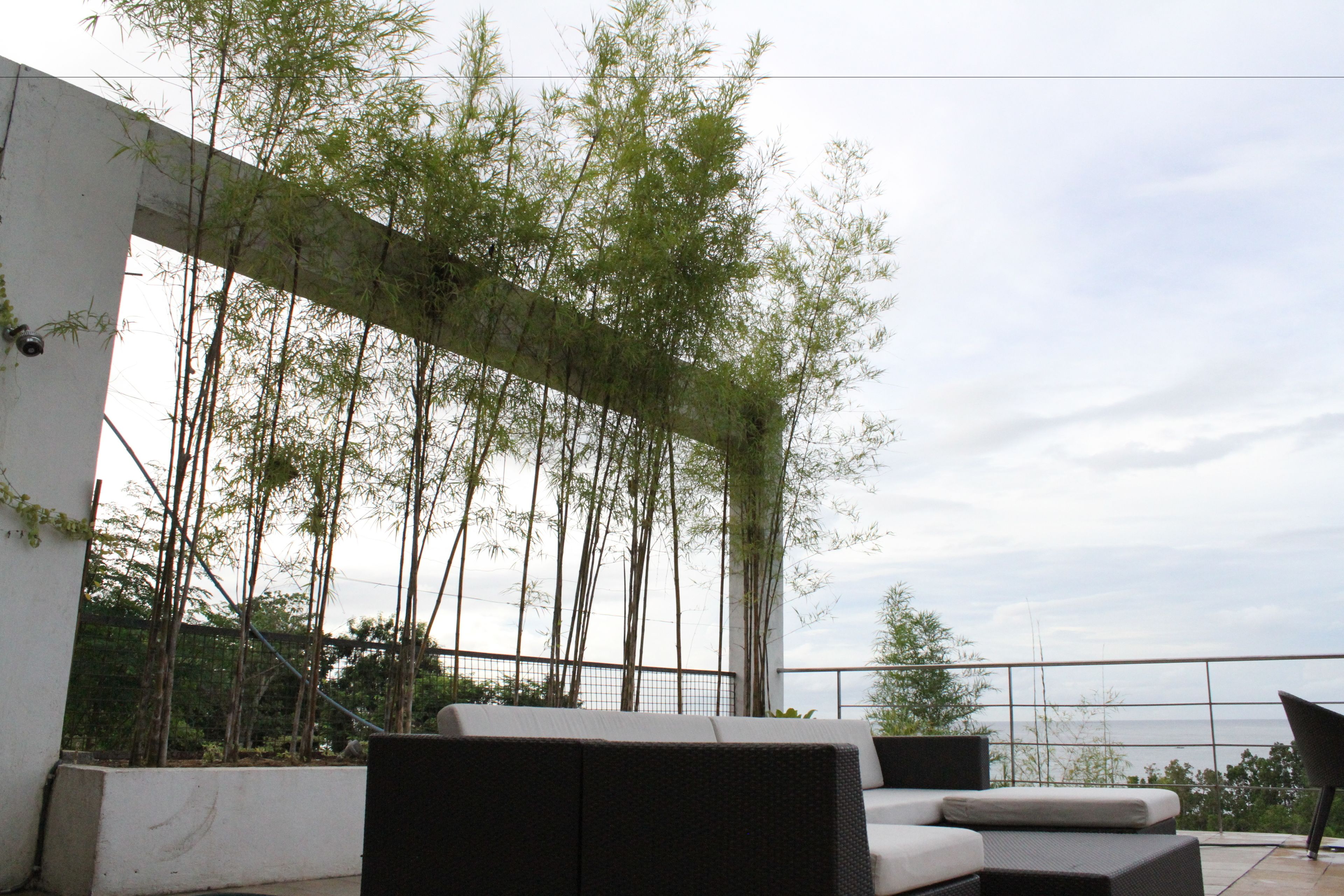 Un espacio de estar moderno al aire libre, con vistas a bambú y una barandilla de balcón.