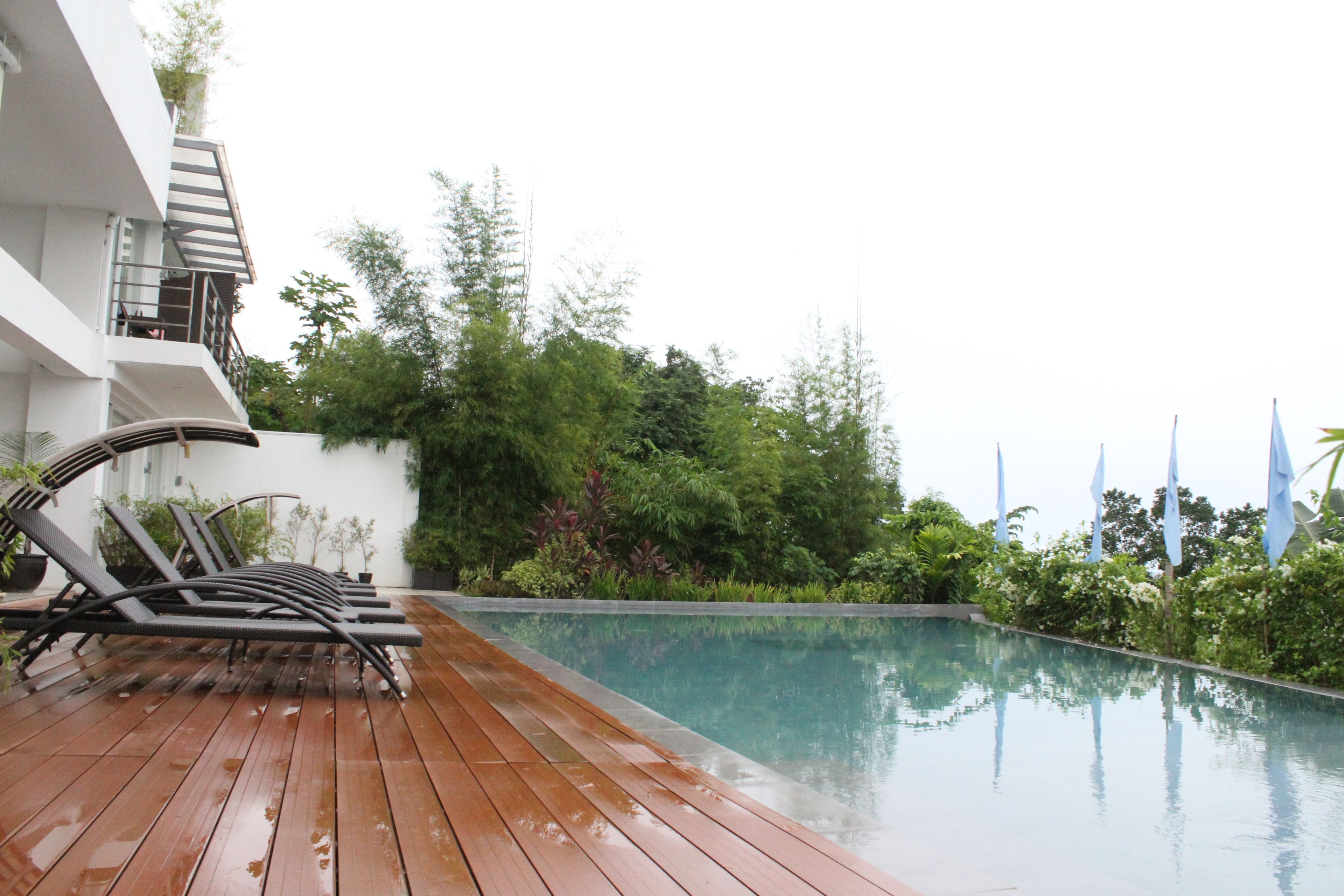 A wooden deck with lounge chairs, a swimming pool, and lush greenery.