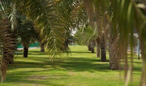 Garden - Green Mubazzarah Chalets (Al Ain)