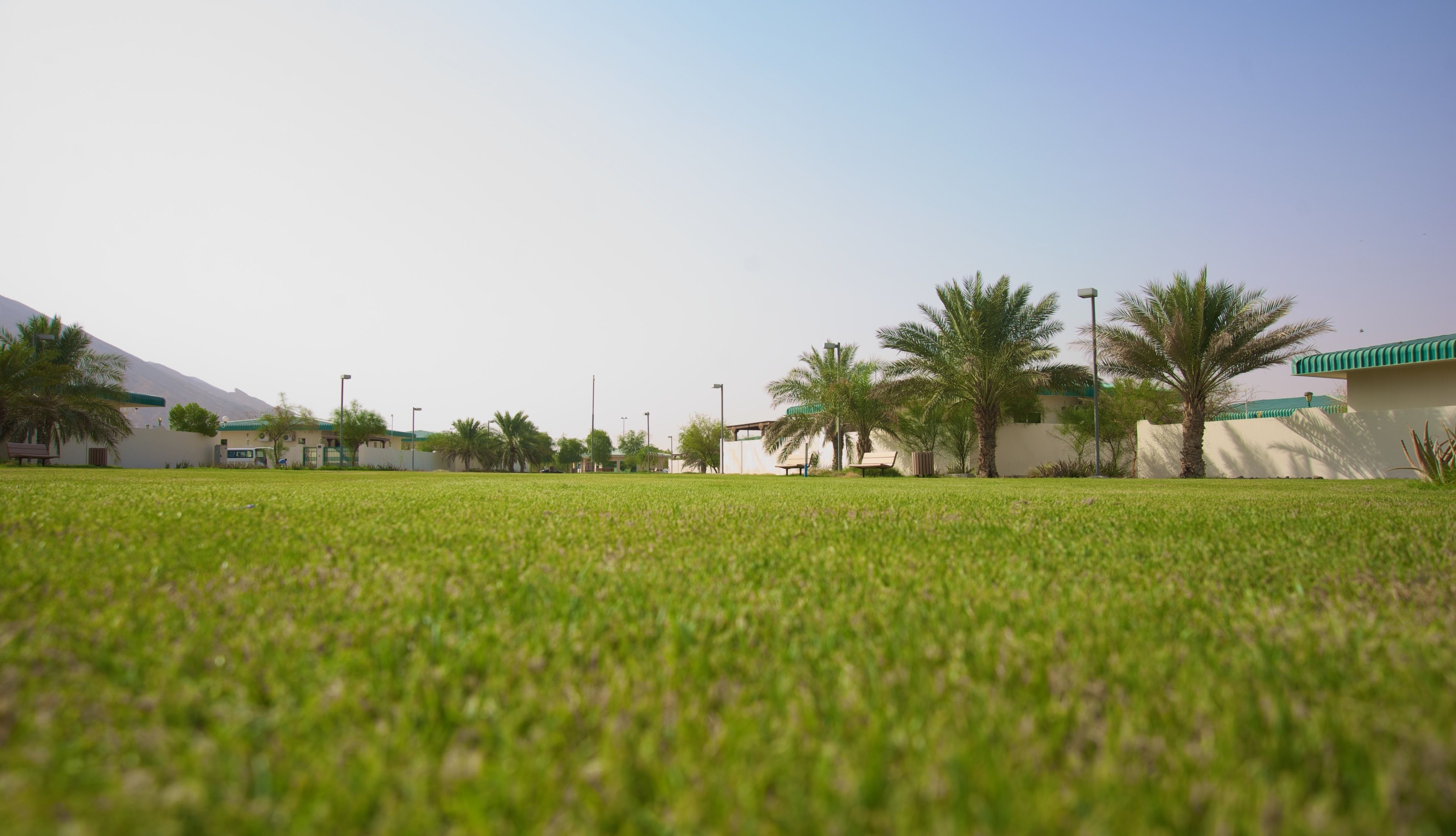 A grassy field with buildings in the background.