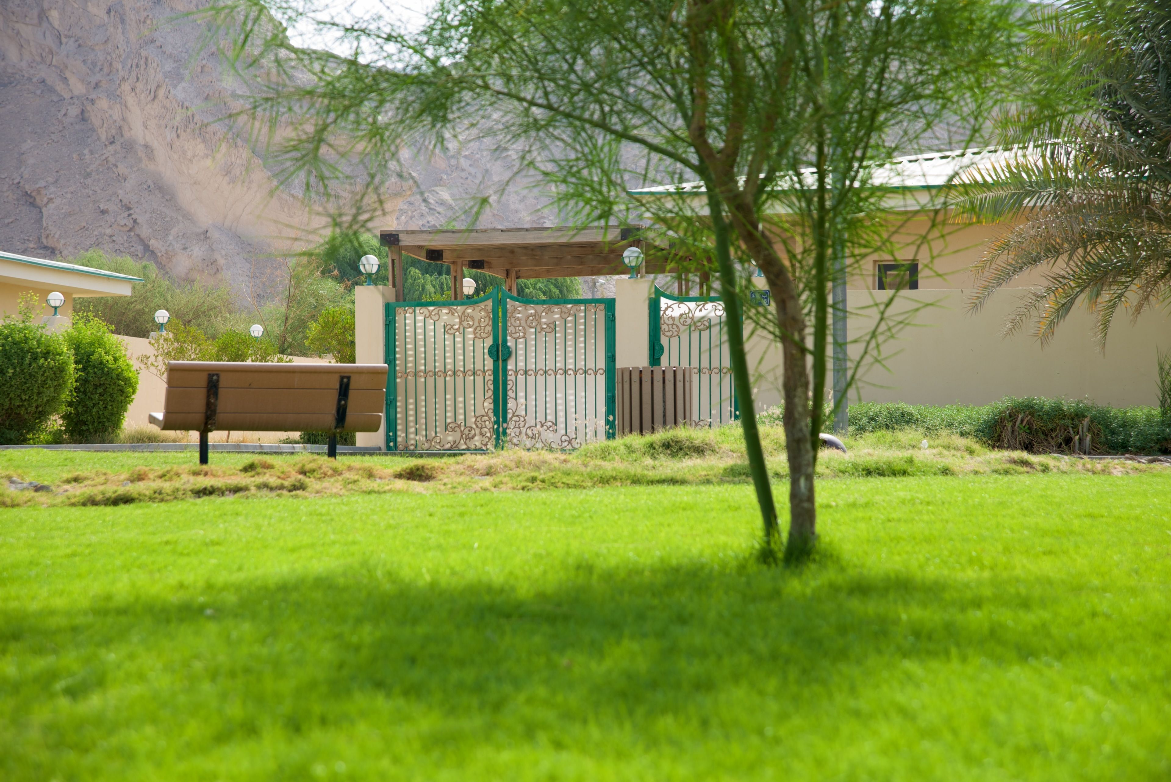 A grassy area with a wooden bench, a metal gate, and a building in the background.