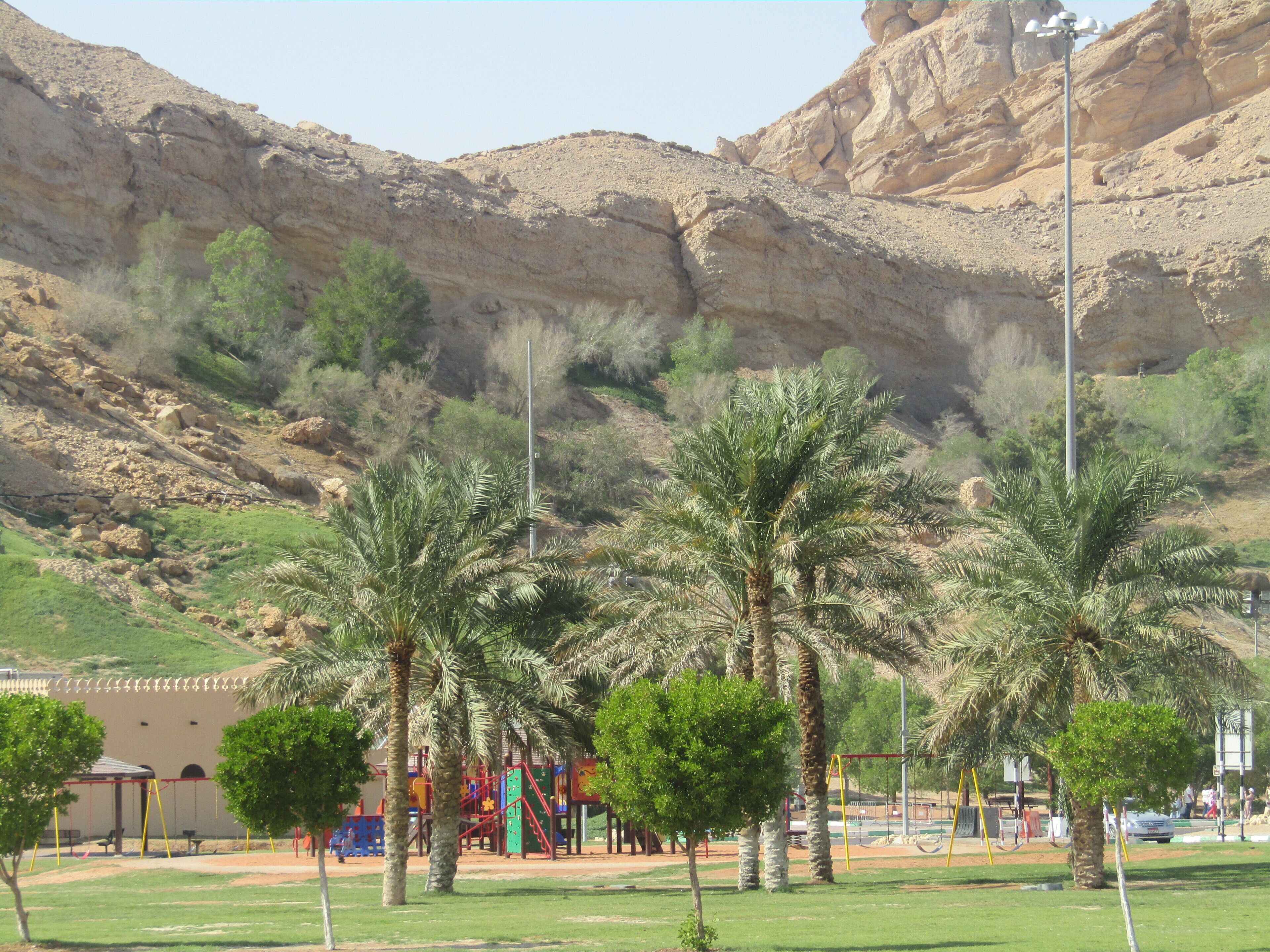 إطلالة على الجبل
