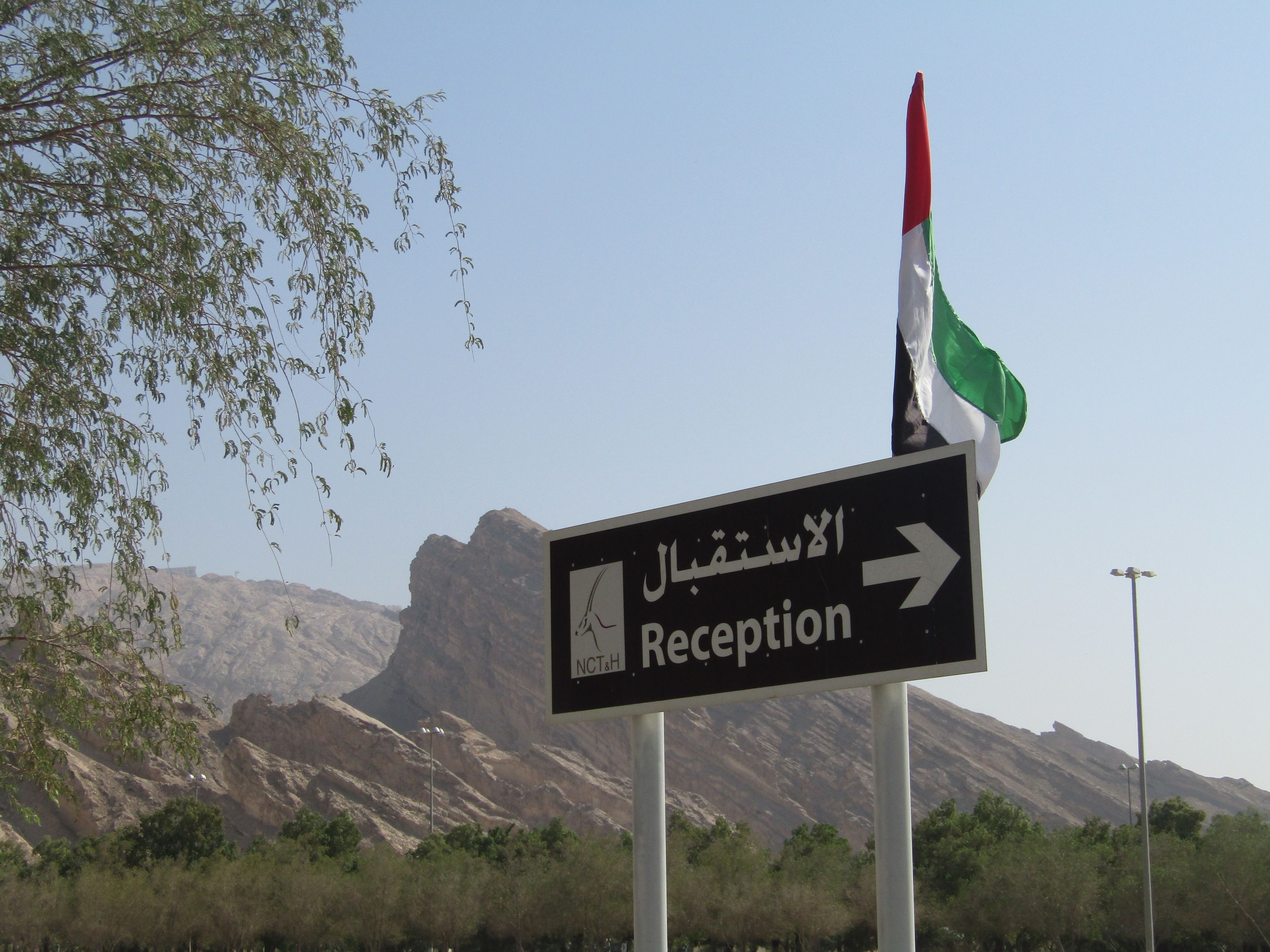 A sign with "Reception" and an arrow pointing right, with a flag in the background.