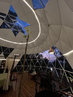 Interior - The Machan (Paud)