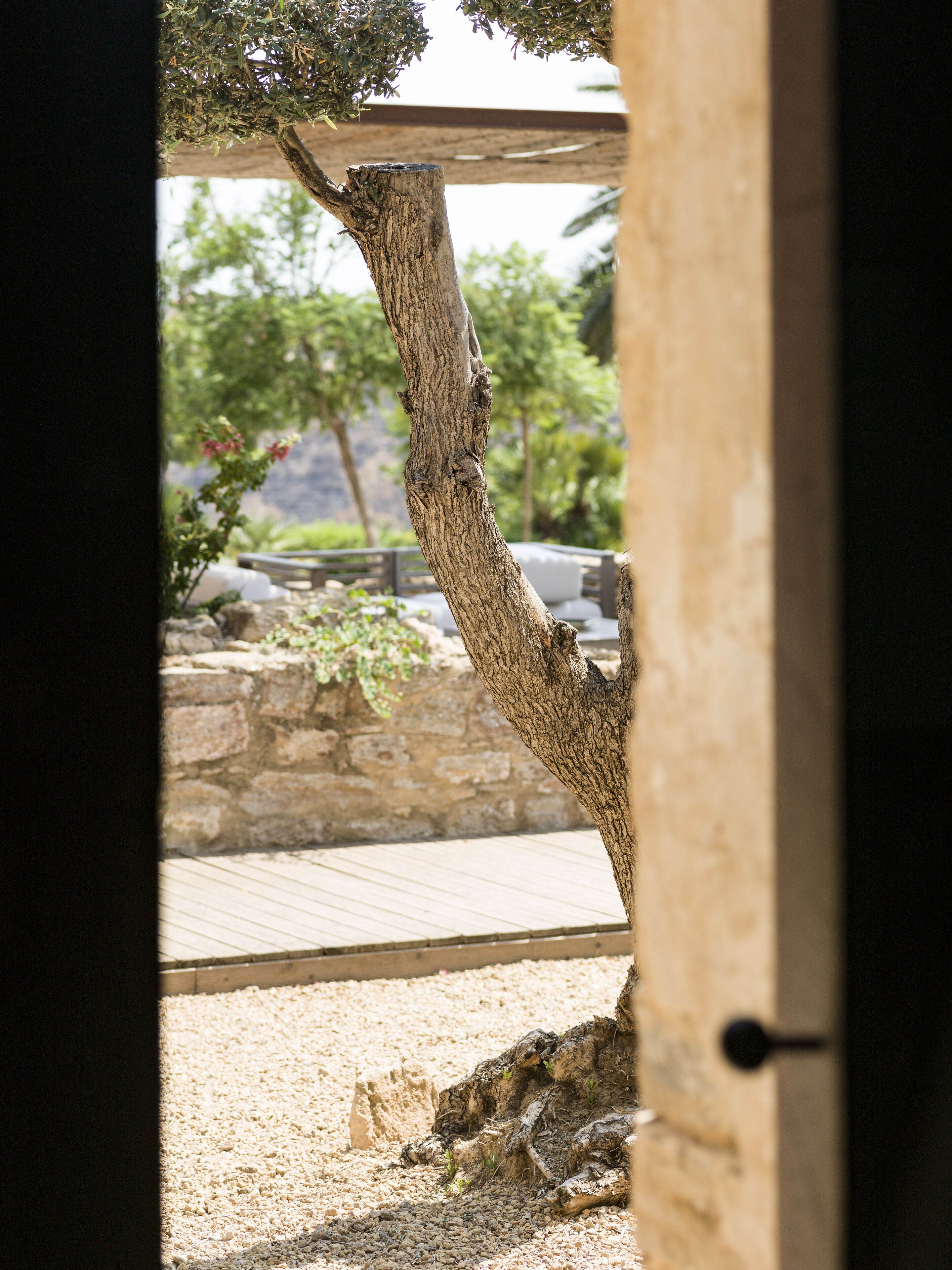 A tree with a wooden structure overhead, a stone wall, and a gravel area.