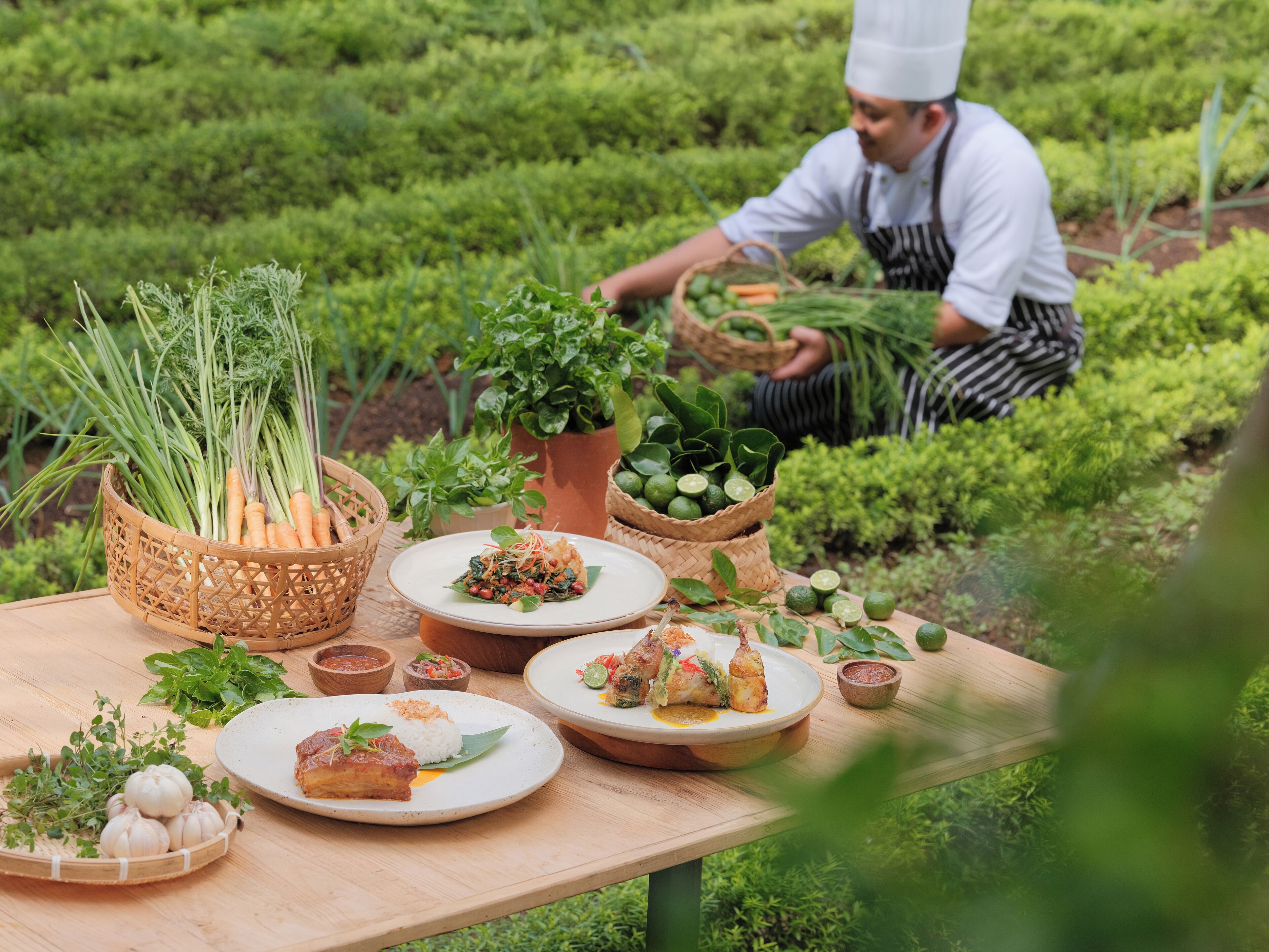 Photo - Padma Resort Ubud