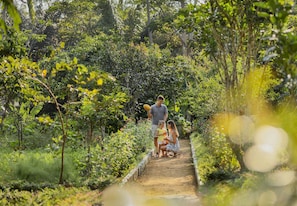 Children’s activities