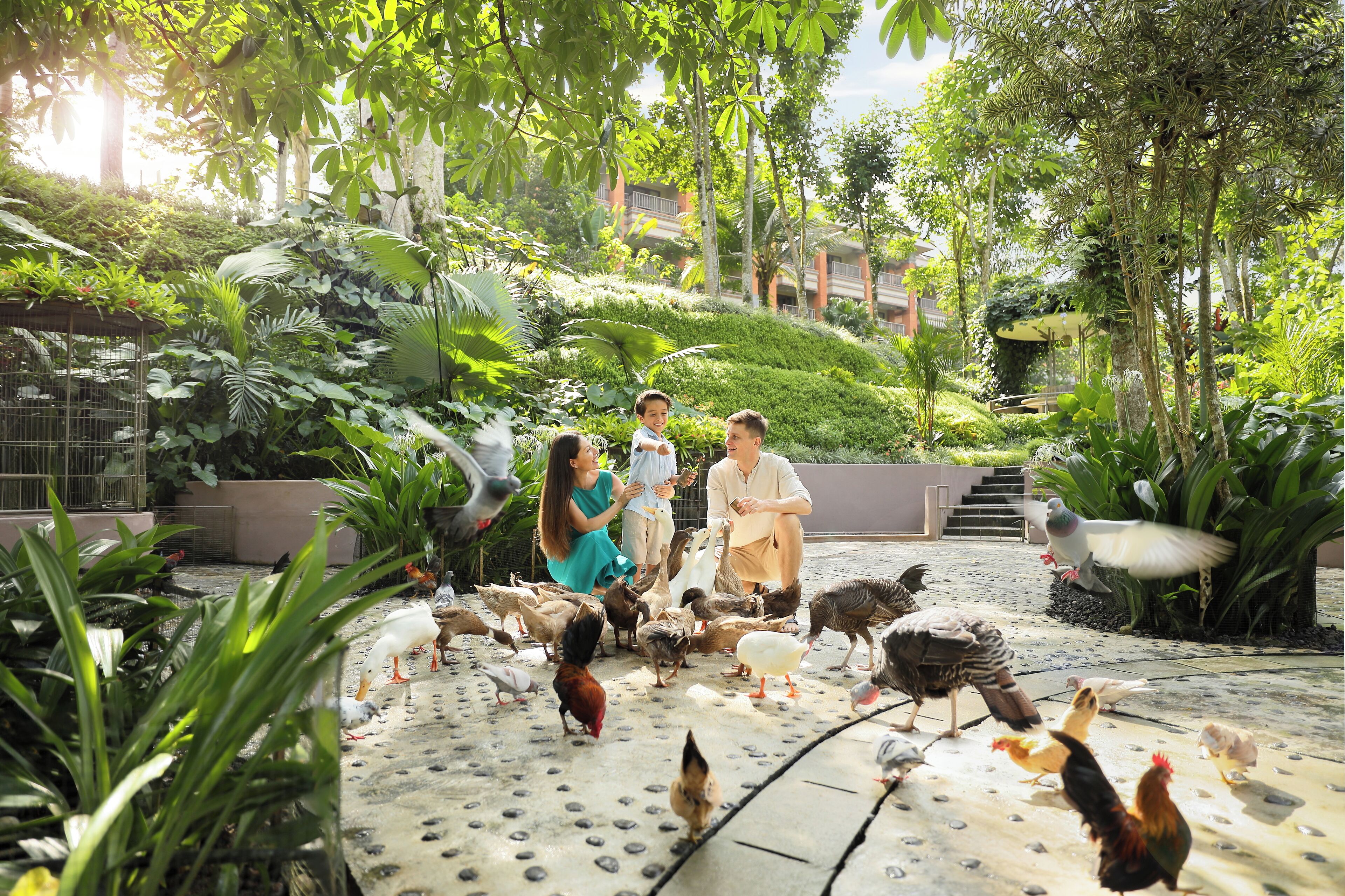 Un patio con un grupo de personas y diversas aves, rodeado de abundante vegetación y un edificio al fondo.
