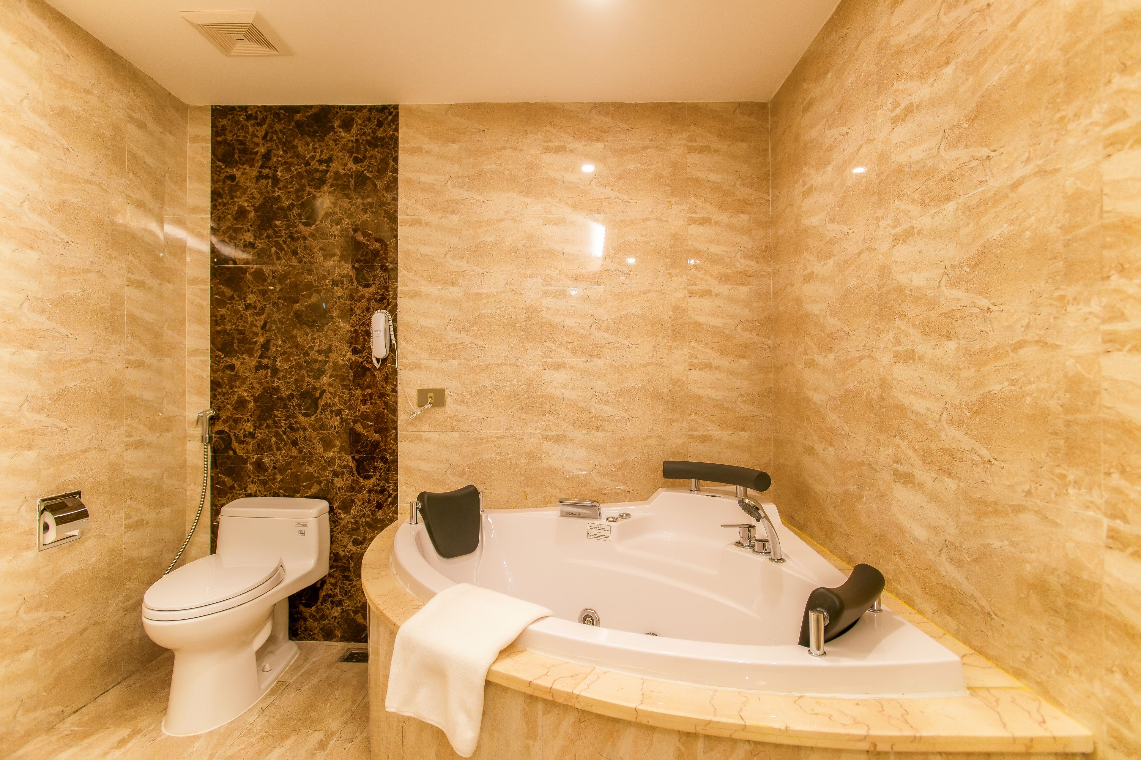 A modern bathroom with a toilet, a bathtub, and marble walls.
