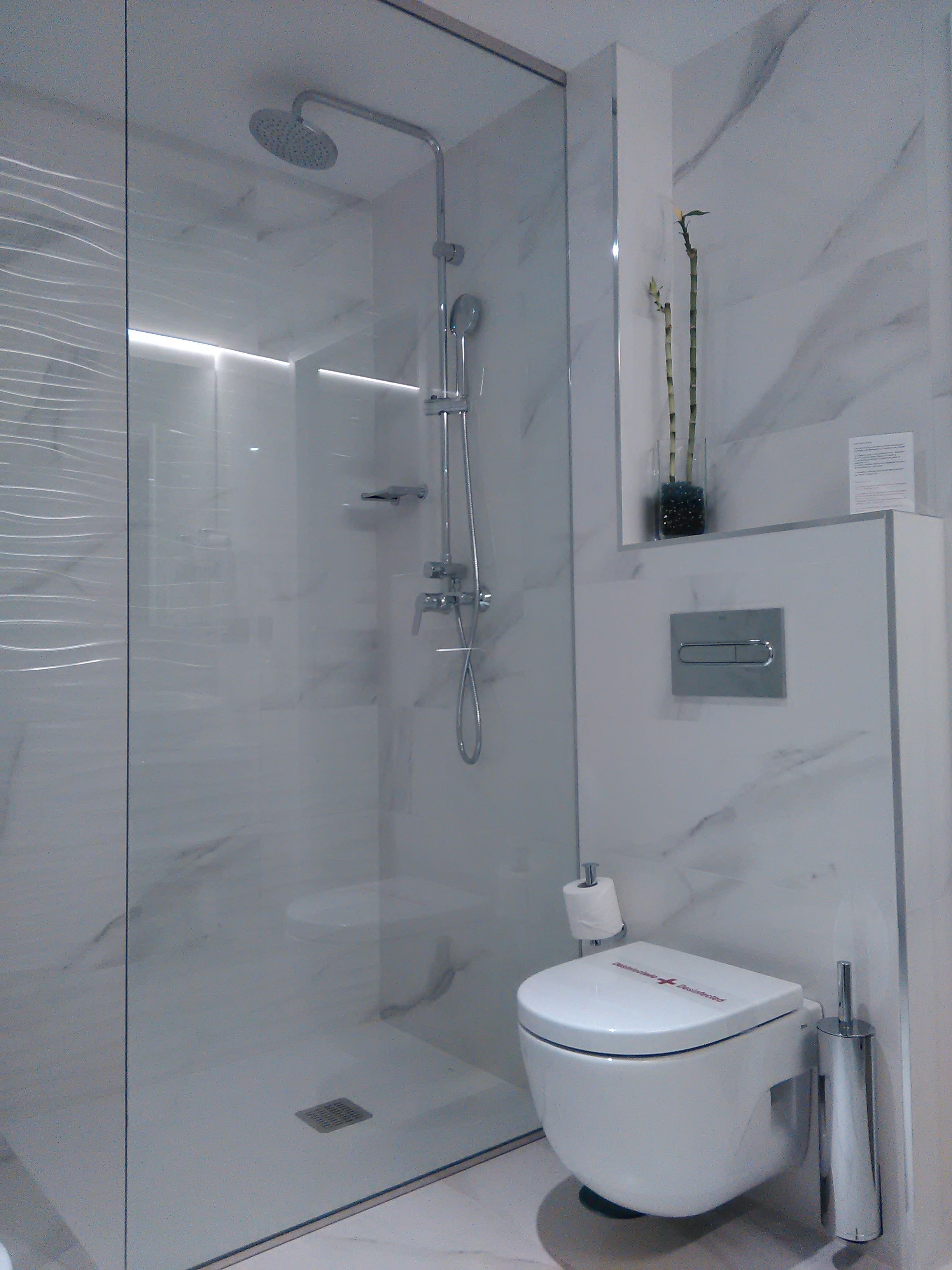 A modern bathroom with a glass-enclosed shower, a toilet, and a small potted plant on the wall.