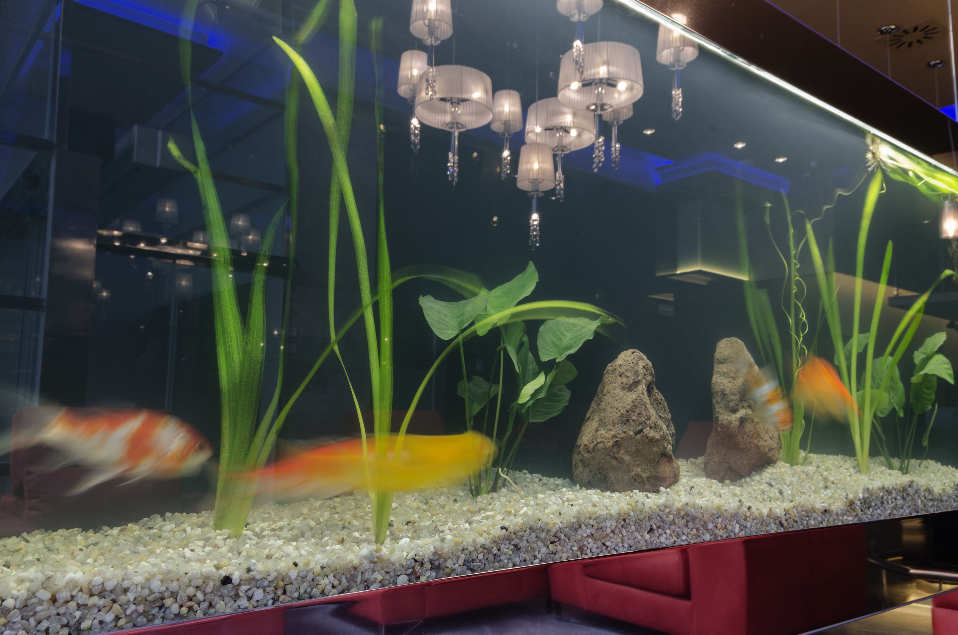 premium bedding, down duvets, minibar, in-room safe