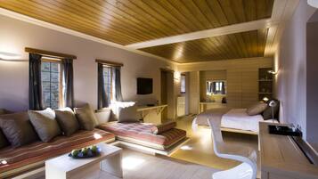 22-inch plasma TV with digital channels, TV, fireplace