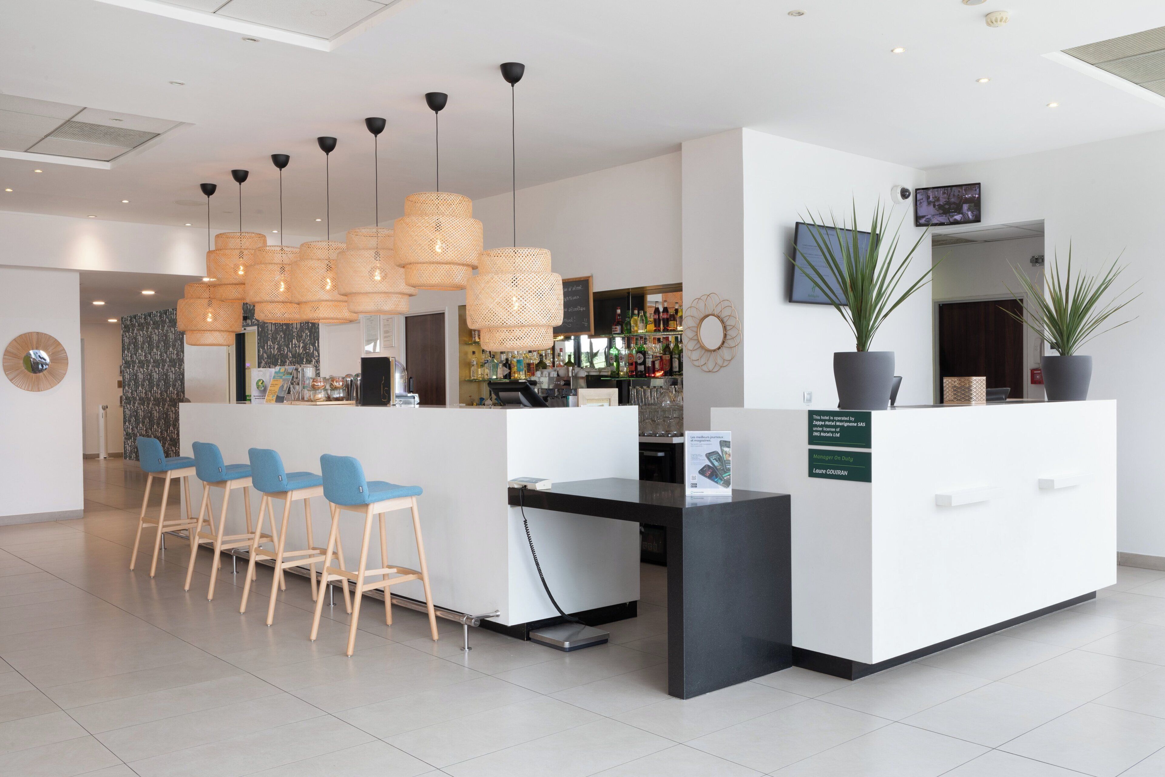 Un área de recepción moderna con bar, sillas azules y una planta grande en maceta.
