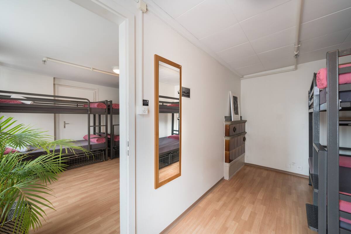 Un dormitorio con literas, un espejo, un escritorio pequeño y una planta en maceta.