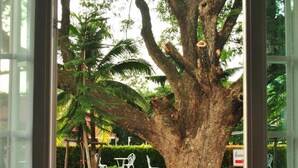Pemandangan dari properti