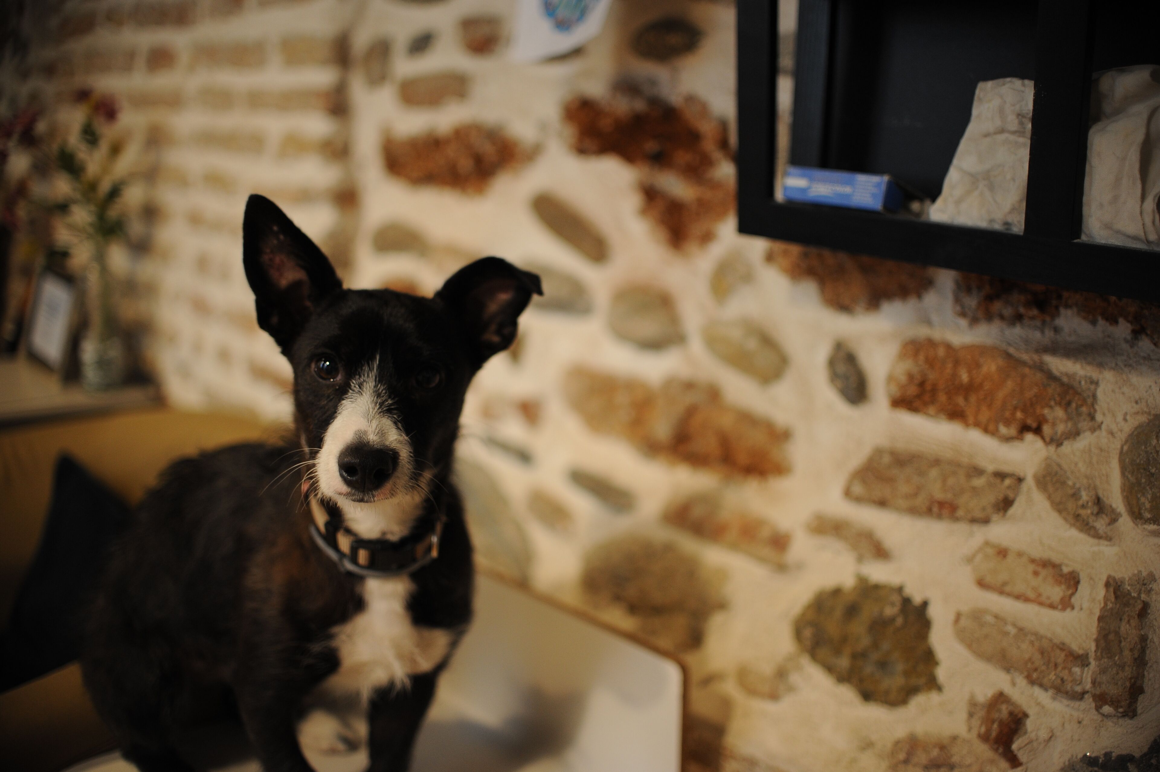 Foto - El Granado Hostel