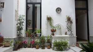 A small outdoor area with various potted plants arranged on steps and walls, a window with a curtain, and a door leading inside. - El Granado Hostel (Granada)
