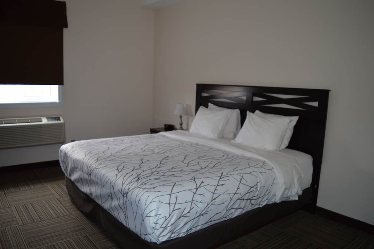 A hotel room with a large bed, a nightstand, a lamp, and a window with blinds.