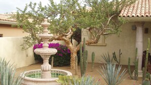 Un jardín con una fuente, cactus y un árbol de flores rosadas.