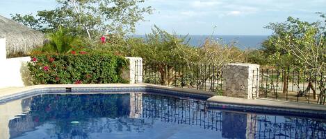 A swimming pool with a stone border, surrounded by greenery and a view of the sea.