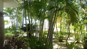 A lush indoor garden with tall palm trees and various tropical plants. - Casa Sun Guadalupe (San José del Cabo)