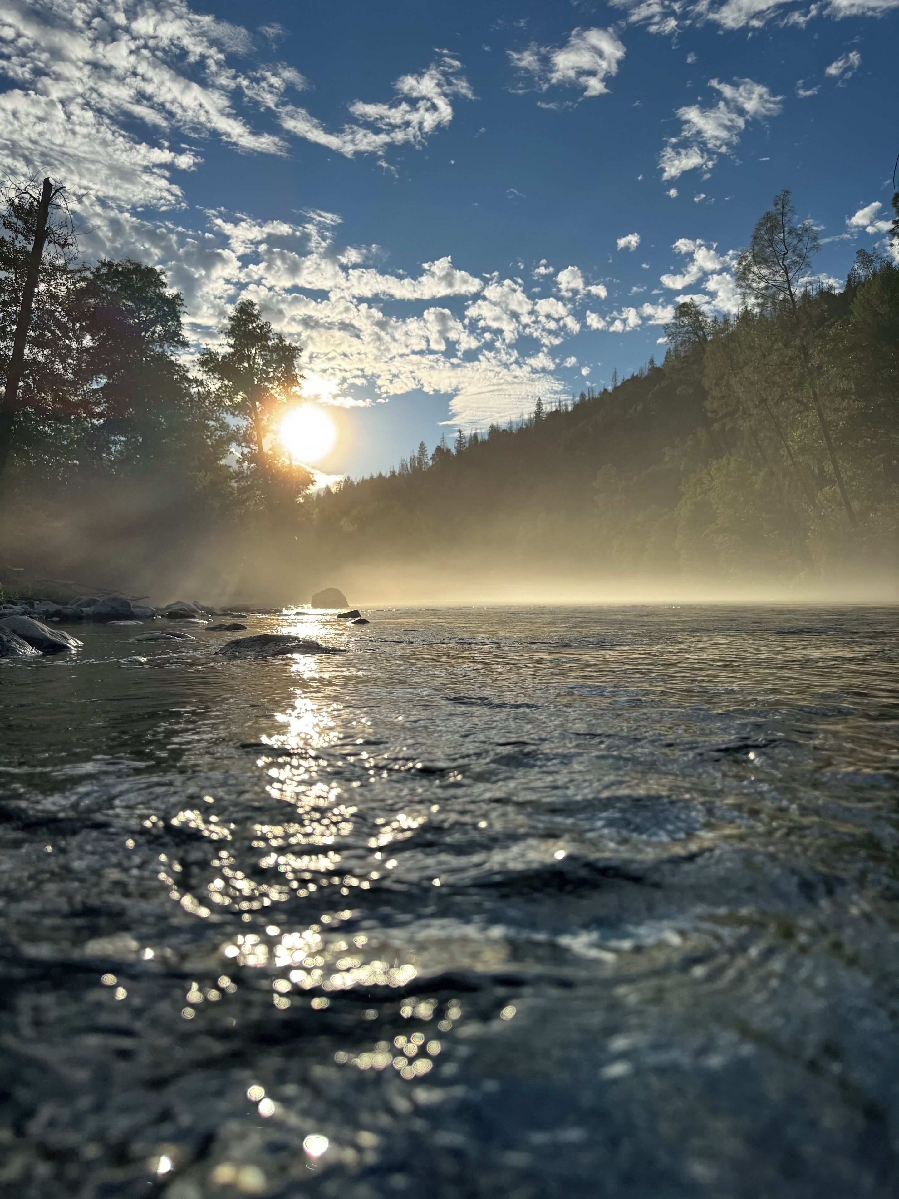 A serene lake with sunlight reflecting on the water, surrounded by a forested area.