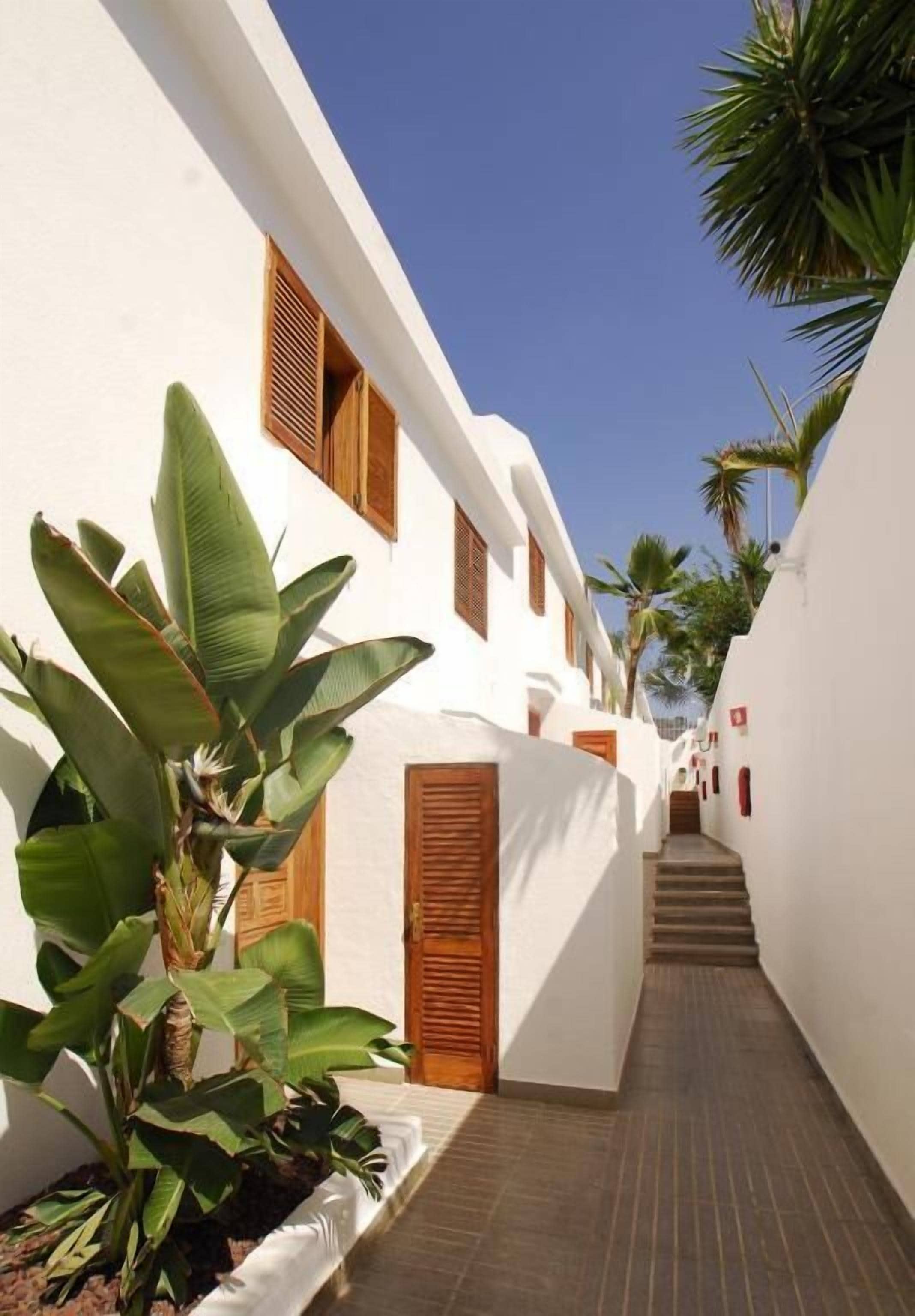 Un étroit sentier mène à un bâtiment aux murs blancs et aux volets en bois, bordé de grandes plantes vertes et de palmiers.