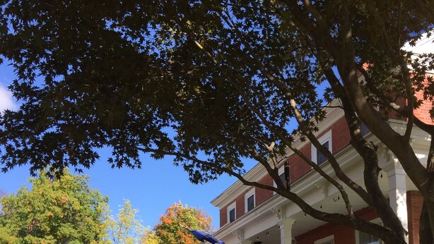 A brick house with a porch, an American flag, and a lawn with fallen leaves.