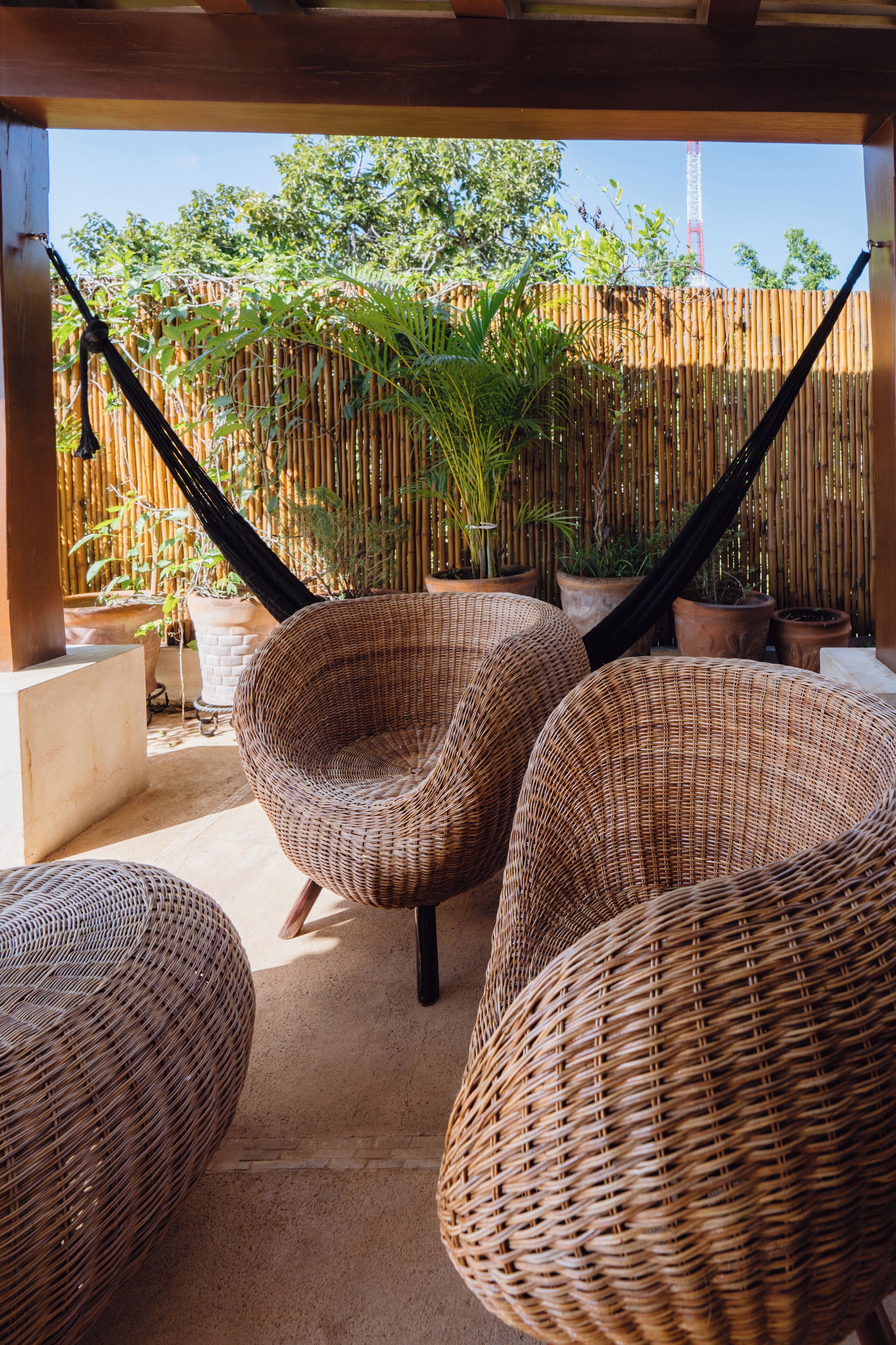 Photo - Boutique by The Museo