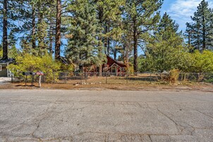 A rustic cabin surrounded by tall pine trees, with a fenced area and a mailbox.