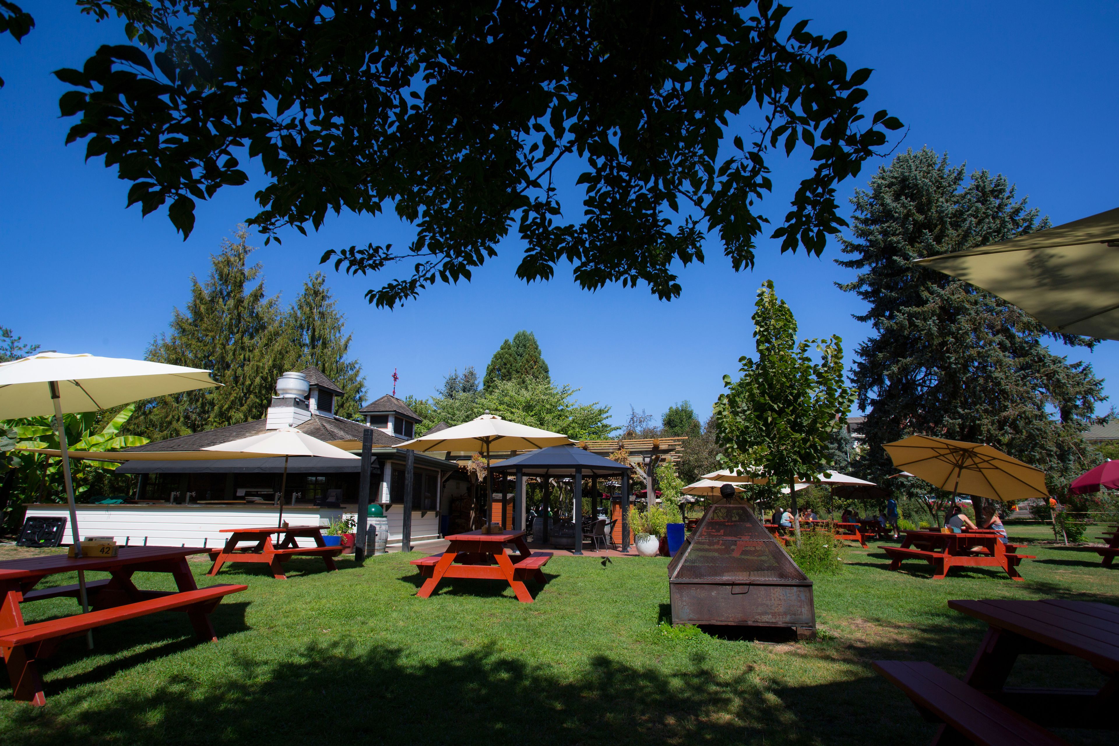 Un espacio al aire libre con mesas de picnic y sombrillas.