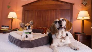 Two dogs in a bed with a wooden headboard, a lamp on each side, and a wall with a quote and a portrait.