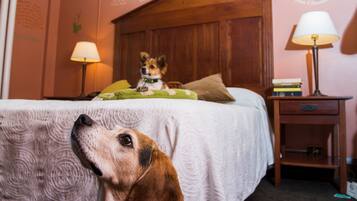 Een slaapkamer met een houten hoofdbord, een bed met een witte spreidek en een groene plaid, en een hond die op het bed zit. Er staat een nachtkastje met een lamp en een stapel boeken.