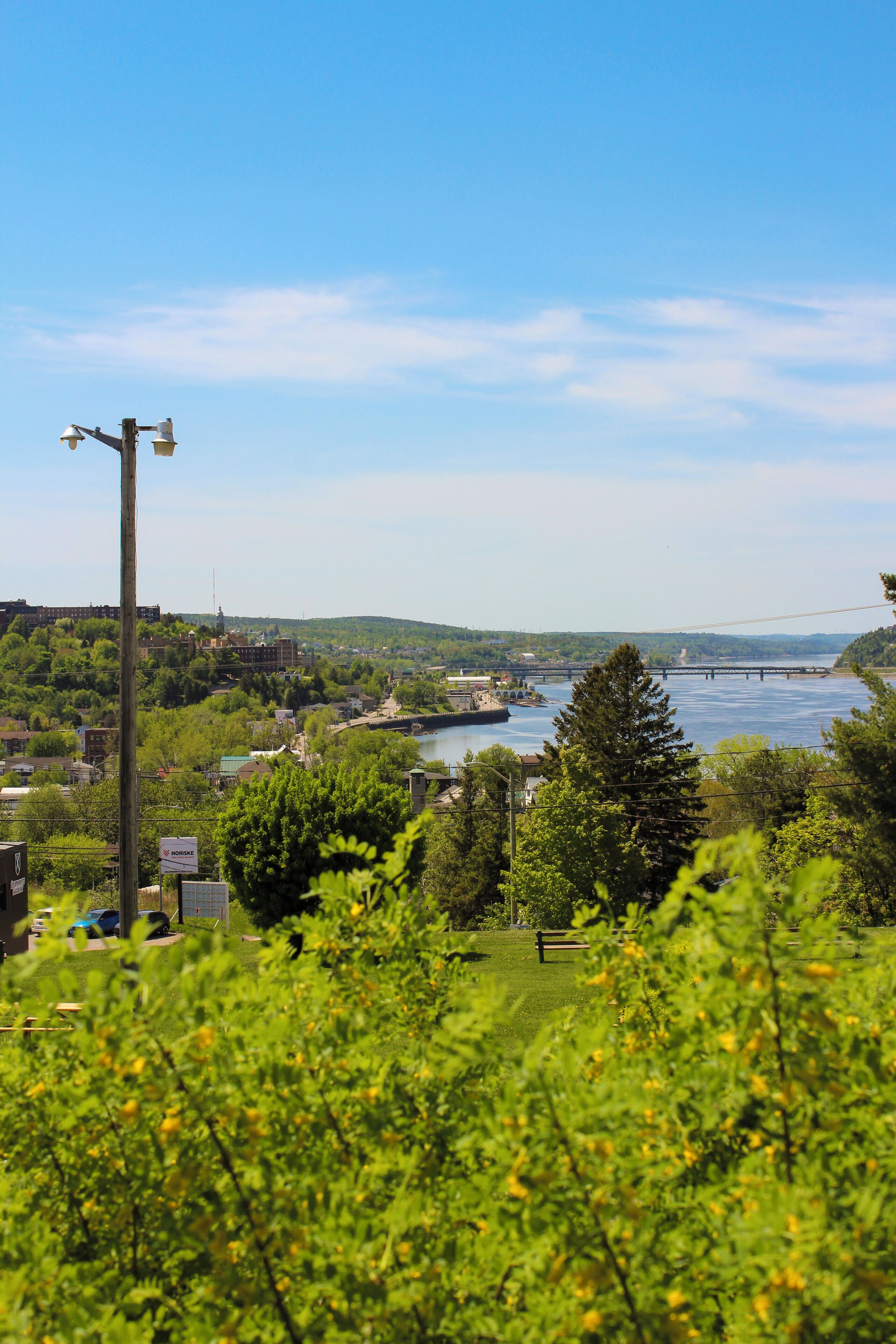 A riverside view with a bridge, greenery, and buildings in the background.