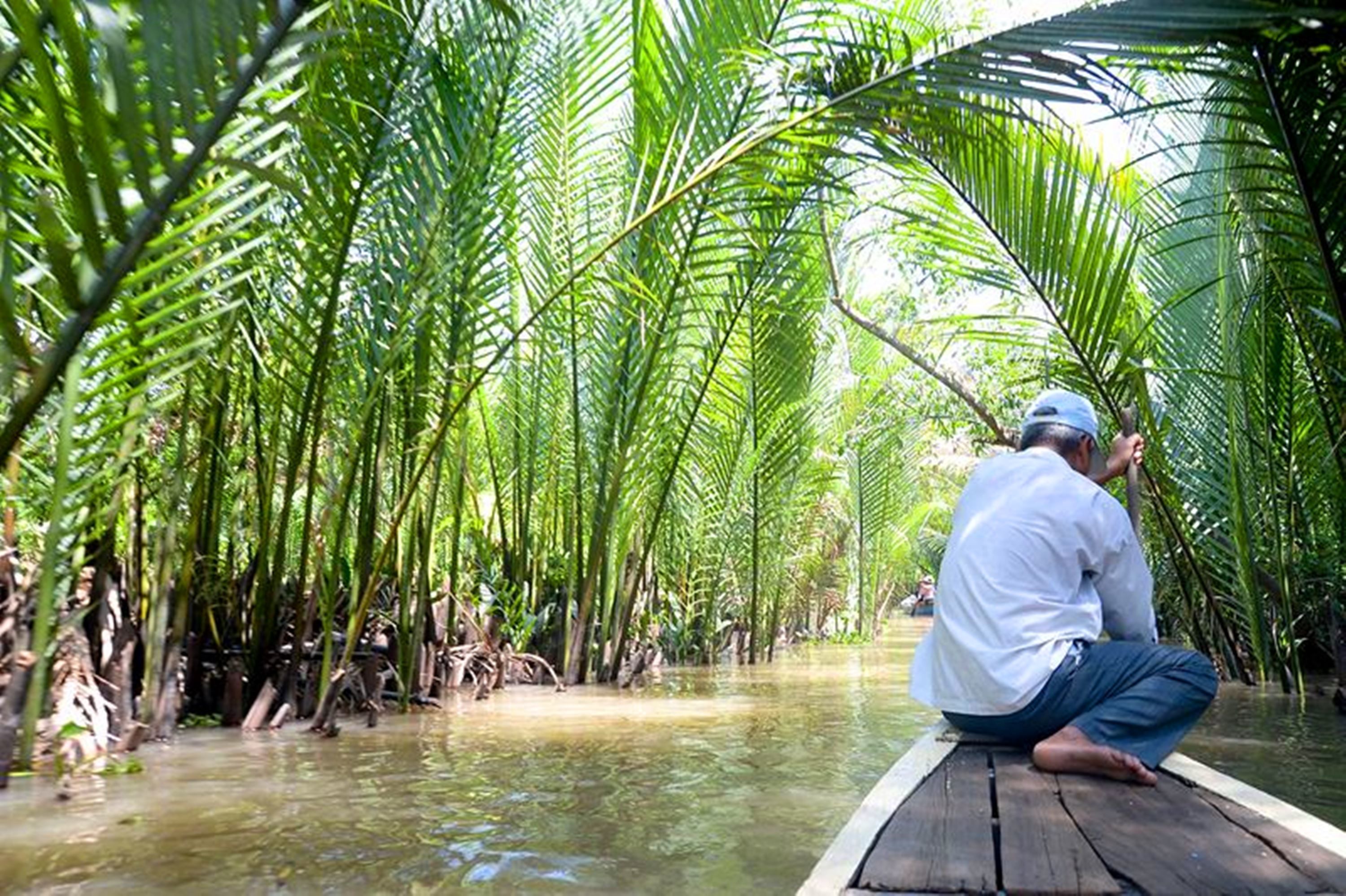 A man sitting on a wooden dock surrounded by tall palm trees and water.