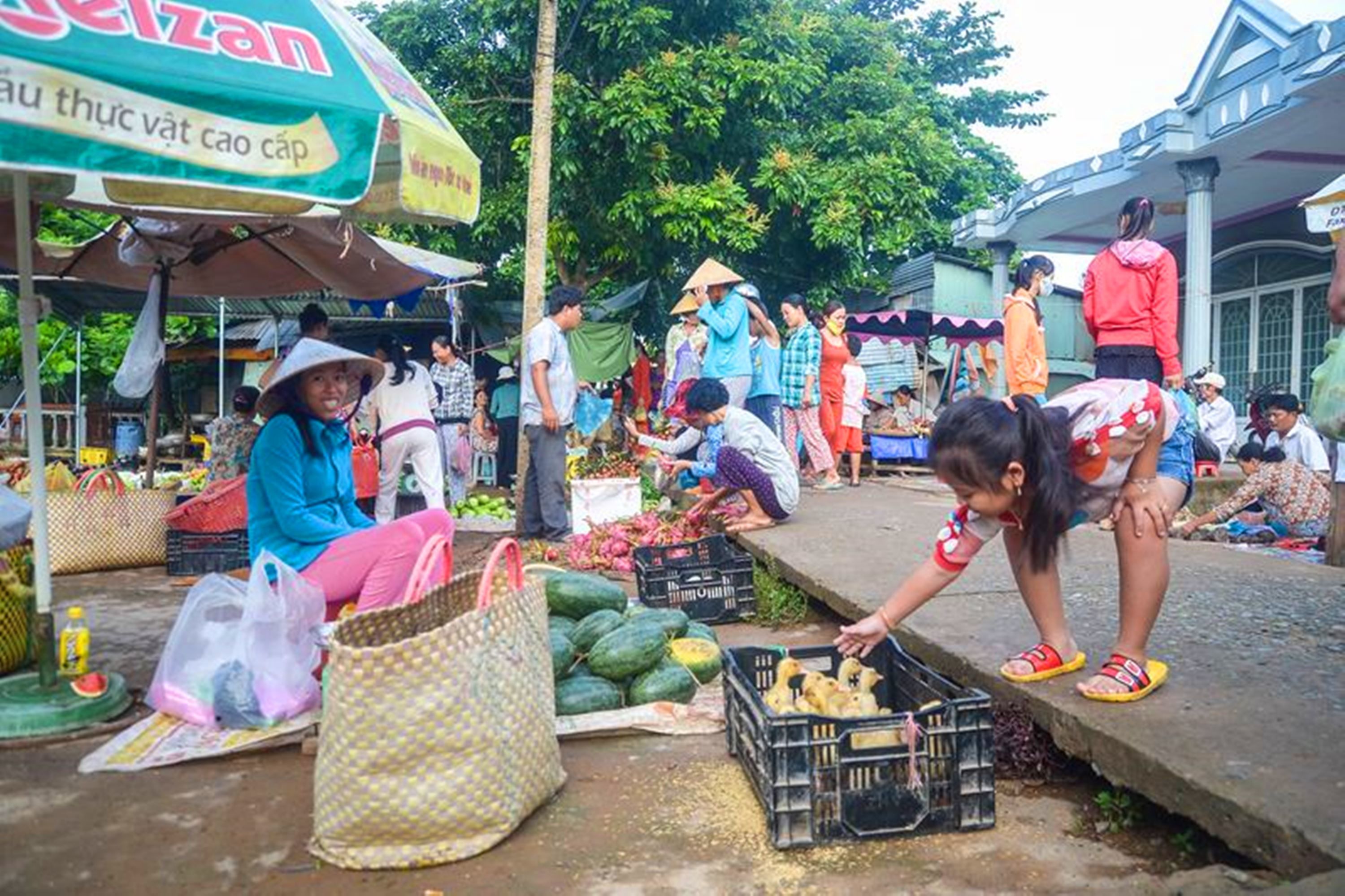 A bustling outdoor market with people shopping and vendors selling goods.