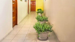 A hallway with wooden doors, potted plants, and wall-mounted lights. - Colon Plaza Hotel (Ica)