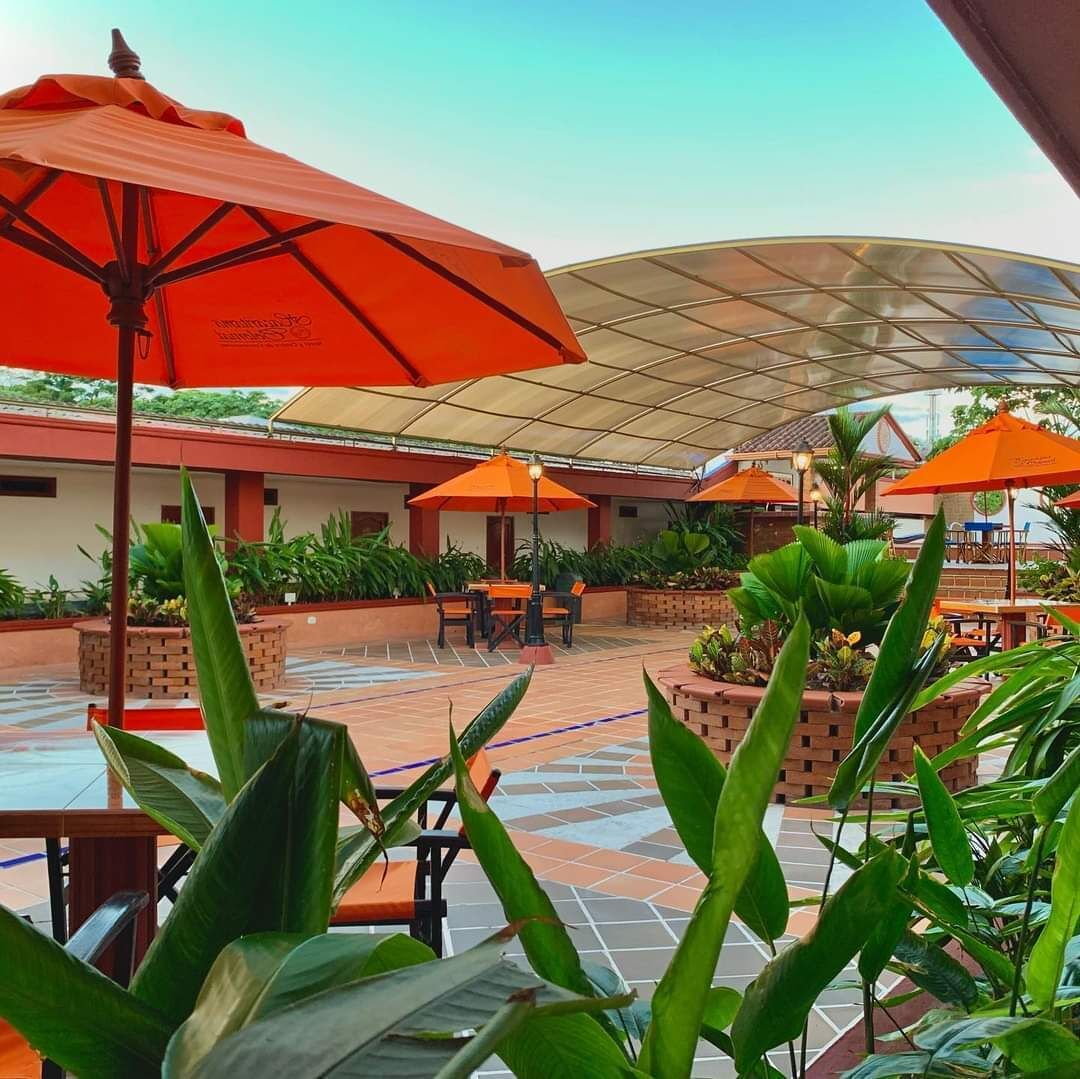 32 インチのプラズマテレビ (ケーブル放送視聴可)、テレビ