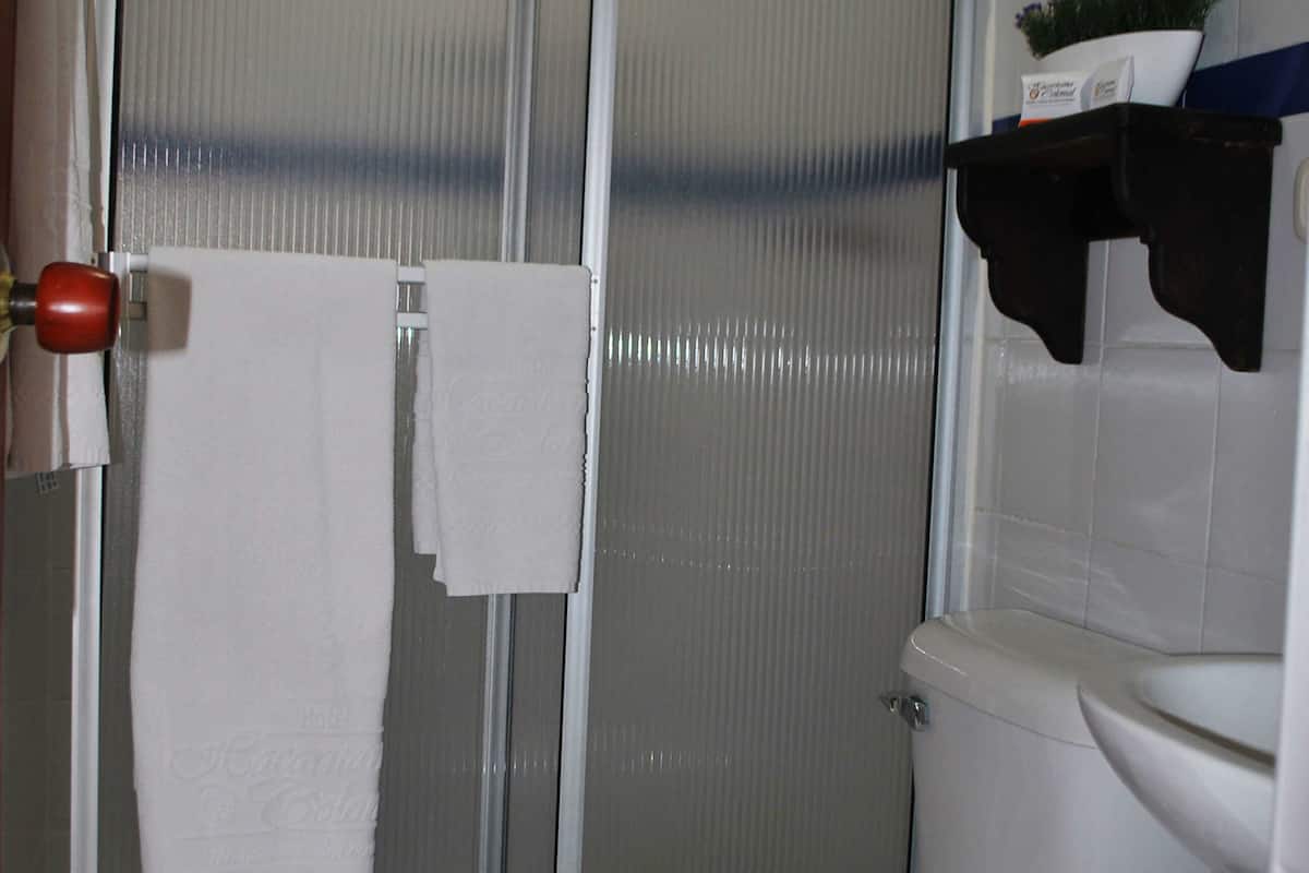 habitación clasica 2 pax | bathroom | shower, free toiletries, hair dryer, towels