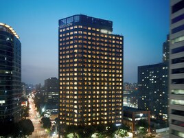 시내 전망