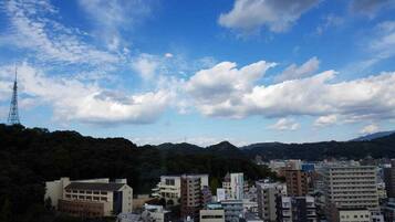Vista desde la habitación