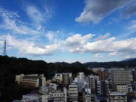 Vista desde la habitación