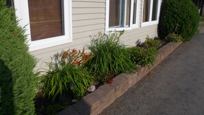 A building with a row of windows, a brick pathway, and various plants. - Silver Birch Motel (Central Huron)