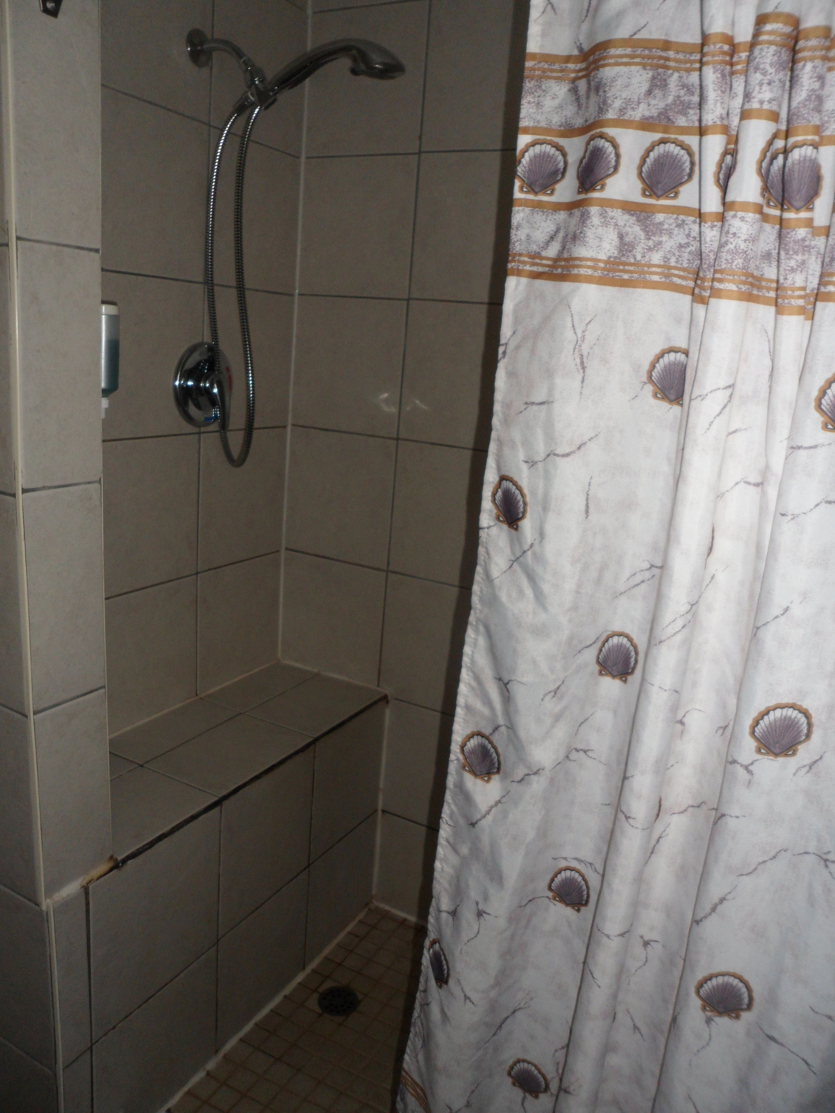 A shower area with a showerhead and a curtain with a shell pattern.