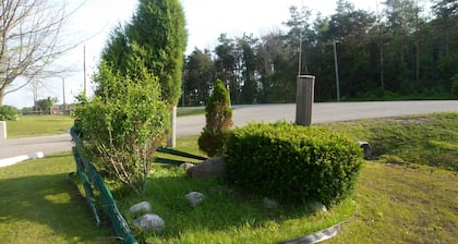 Silver Birch Motel