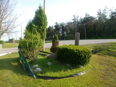 Silver Birch Motel