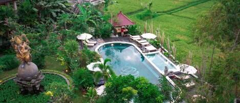 Outdoor pool, pool umbrellas, sun loungers