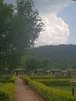 Taman