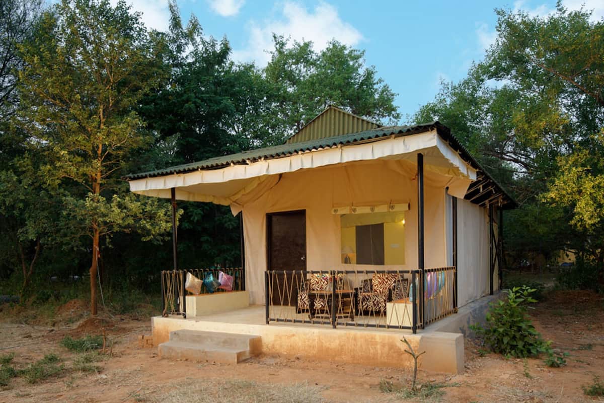Tent, uitzicht op tuin | Verduisterende gordijnen, een strijkplank/strijkijzer